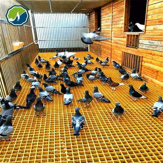 Grille de plancher anticorrosion de FRP, plancher de plate-forme de fibre de verre de haute résistance